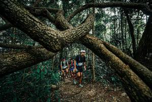 BIB: 
                            <button type="button" onclick="openModal(25665045)" class="btn btn-primary btn-sm float-right btn-popup" data-toggle="modal" data-target=".modal-high-quality">
                        <i class="fas fa-shopping-cart"></i> Add to Cart
                    </button>
                                            <button type="button" onclick="isThisMe(25665045, true)" class="btn btn-success btn-sm float-right btn-popup btn-isme hidden" data-toggle="tooltip" data-placement="bottom" title="นี่คือรูปของคุณใช่ไหม คลิกที่นี่เพื่อเอาเข้าอัลบั้ม">
                        <i class="fas fa-plus"></i> Add to album
                    </button>
                    <button type="button" onclick="isThisMe(25665045, false)" class="btn btn-warning btn-sm float-right btn-popup btn-isnotme hidden">
                        <i class="fas fa-ban"></i> Remove from album
                    </button>